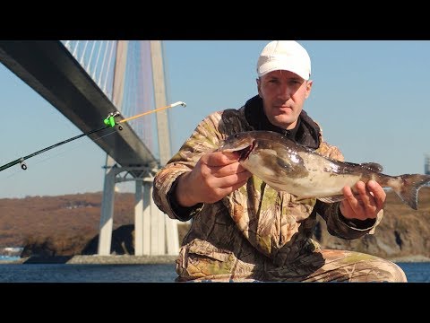 Видео: РЫБАЛКА. КЛЮЕТ НА КАЖДОМ ЗАБРОСЕ. Под мостом пойманы три вида окуня.