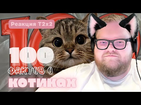 Видео: Т2Х2 СМОТРИТ | 100 Фактов О КОТИКАХ