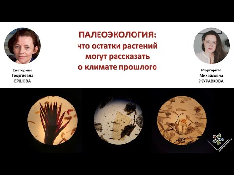 Видео: Что остатки растений могут рассказать о климате прошлого?