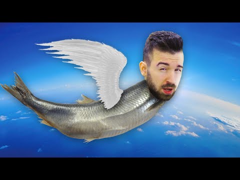 Видео: Юджин - ЛЕТАЮЩАЯ РЫБА