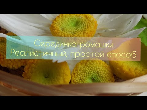 Видео: Серединка ромашки/холодный фарфор/простой реалистичный способ/Middle of a chamomile/cold porcelain