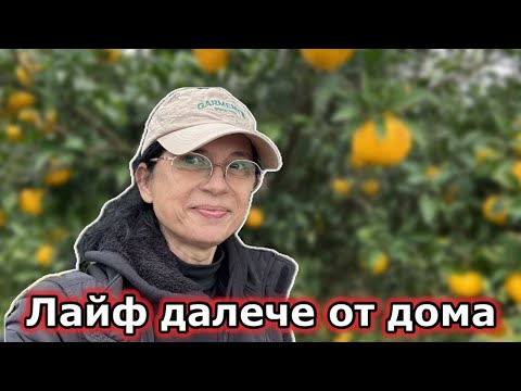 Видео: Лайф от  най далечният южен град в Корея 😊