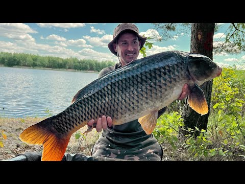 Видео: Упіймав дикого монстра