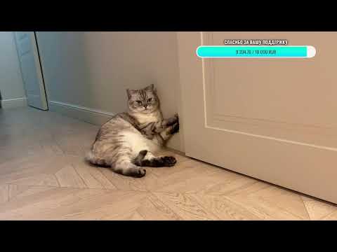 Видео: Добрый   Вечер