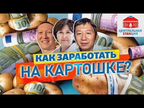 Видео: Куда идет рынок картофеля Центральной Азии? | Фируза Татыбаева | Сельхоз | Центральная STANция