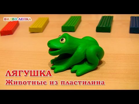 Видео: ЛЯГУШКА - Лепим из пластилина | Видео Лепка