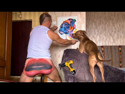 Видео: Лучше бы жену завёл и детей!