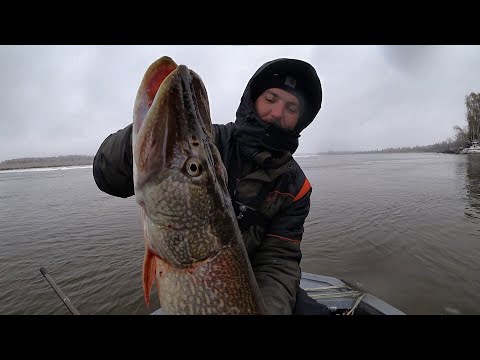 Видео: ОСЕННИЙ ЖОР КРУПНОЙ ЩУКИ!! Трофейная рыбалка на Оби, джиг! Жду первый лед 2022-2023