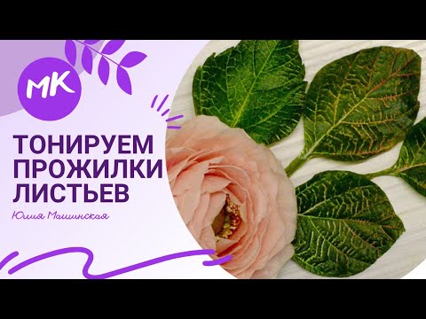 Видео: Тонируем прожилки листьев