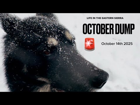 Видео: Сбрасываем снег в начале октября!