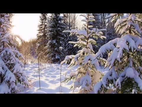 Видео: КРАСАВИЦА -  ЗИМА