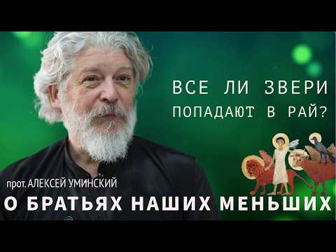 Видео: О братьях наших меньших — прот. Алексей Уминский, премьера 31.10.24