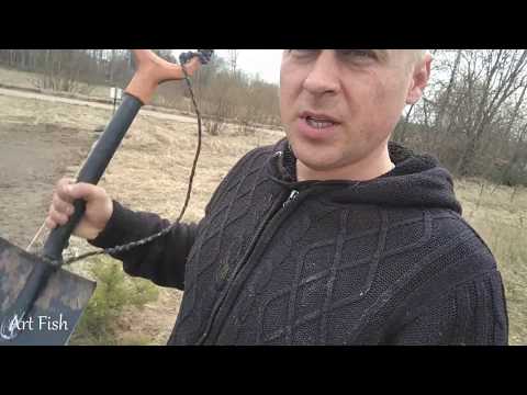 Видео: Посадил сосны у пруда  Почистил пруд от тины