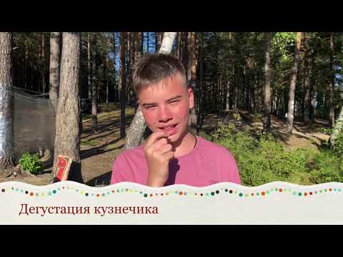 Видео: Отдых на Светлых Озёрах. Фролищи.Нижегородская область.