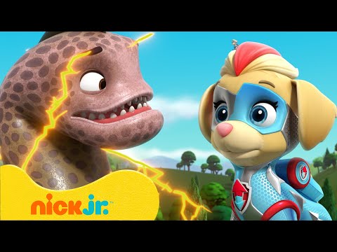 Видео: Щенячий патруль | Мегащенки против гигантских животных! | Nick Jr. Cyrillic