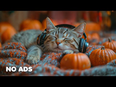 Видео: 12 часов исцеляющей музыки для кошек 🐈 Музыка для сна кошек TV 💖