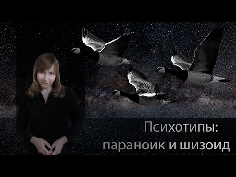 Видео: ПСИХОТИПЫ: ПАРАНОИК И ШИЗОИД. Конфликтология 30
