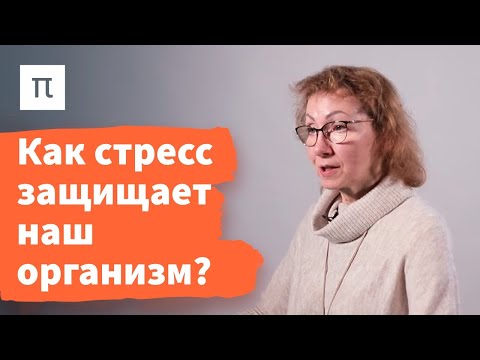 Видео: История изучения стресса – Анна Усенко / ПостНаука