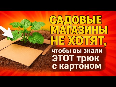 Видео: Садовые магазины НЕ ХОТЯТ, чтобы вы знали ЭТОТ трюк с картоном