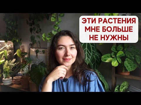Видео: ВИШЛИСТ с растениями СПУСТЯ ГОД / Пересматриваю список РАСТЕНИЙ МЕЧТЫ