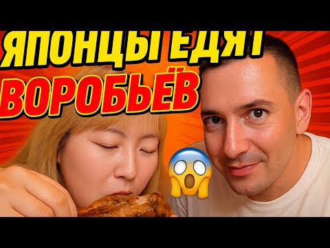 Видео: Странный способ отдыха и не менее странная еда. #япония #токио #еда #свиньи #бар #кафе #синджуку 