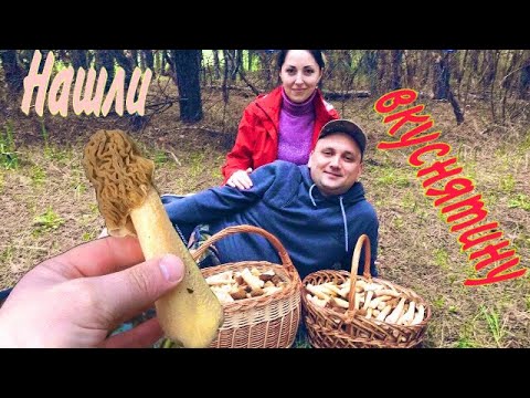 Видео: Сморчковая шапочка. Ищем и готовим.
