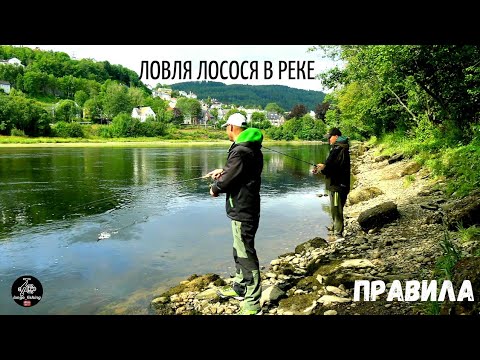 Видео: ЛОСОСЬ И ФОРЕЛЬ. ПРАВИЛА ловли в РЕКАХ НОРВЕГИИ. Рыбалка в Норвегии в пресной воде. Рыбалка в реках.