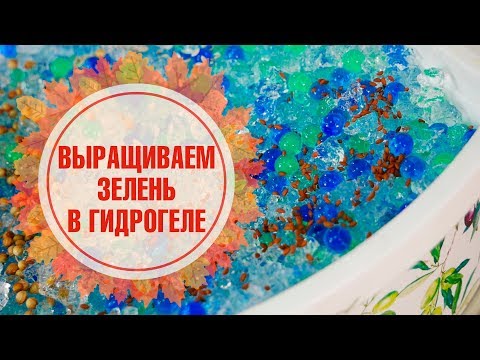 Видео: Эксперимент hitsadTV 🌟 Выращиваем зелень в гидрогеле! 🌟 Мастер-класс