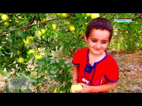 Видео: Файзобод - Чашмасор / Fayzobod Chashmasor