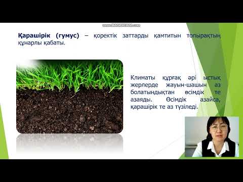 Видео: Канатбекова Г А. "Топырақ және оның құрамы мен құрылымы"