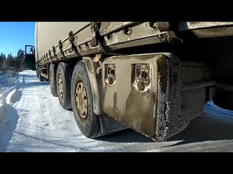 Видео: Ищу выход из леса. Назад пути нет.