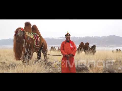 Видео: МАЛЧИН ТҮМНИЙ МОЛОР HD ТВ  "ХУРДАН ТЭМЭЭНИЙ ЦОЛ "