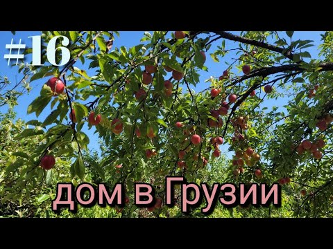 Видео: #16 Дом в Грузии