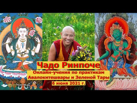 Видео: Чадо Ринпоче. Онлайн-учения по практикам Авалокитешвары и Зеленой Тары