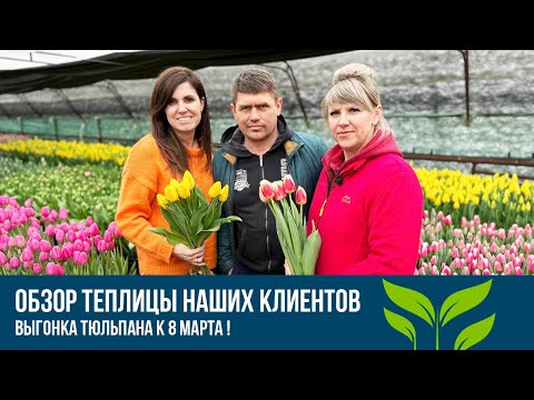 Видео: Обзор теплицы наших Клиентов.