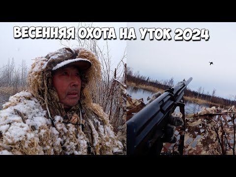 Видео: Весенняя охота на уток 2024! Один в тайге