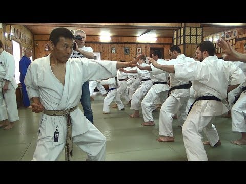 Видео: Тигр Каратэ. Легенда японского каратэ Микио Яхара в Московском Кодокане