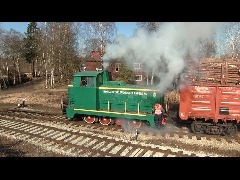 Видео: Тепловозы ТГМ23-1676 и ТГМ4А-1134 2 / TGM4A-1134 and TGM23 2