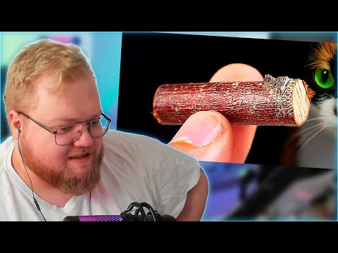 Видео: РЕАКЦИЯ T2x2: ВОТ ЧТО МЫ КУПИЛИ НА ALIEXPRESS