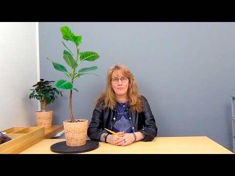 Видео: Формирование фикуса Альтиссима (ч.1).