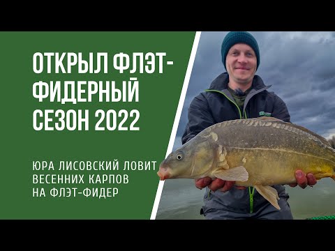 Видео: Как ловить карпа на флэт-фидер ранней весной. Рыбалка 2022