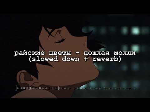 Видео: райские цветы - пошлая молли (slowed down + reverb)