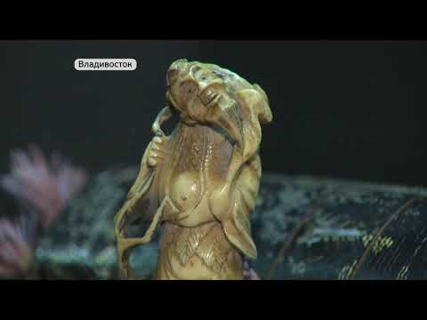 Видео: Драгоценная коллекция. В Приморской картинной галерее открылась выставка нэцке