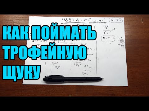 Видео: Активность клева щуки в зависимости от её размера.