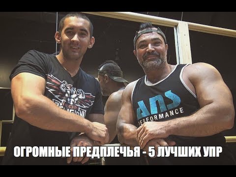 Видео: Как накачать ОГРОМНЫЕ ПРЕДПЛЕЧЬЯ 💪🔥5 ЛУЧШИХ УПРАЖНЕНИЙ от эксперта ЖЕЛЕЗНОГО РЕЙТИНГА