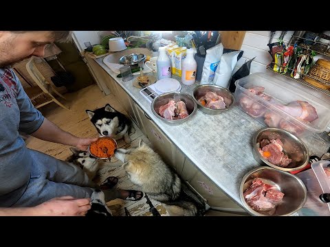 Видео: После этого собаки будут есть овощи как мясо. Рабочий способ приучить собаку есть овощи