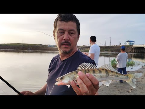 Видео: Вся красота Арнасайская система озер! Золотой мост. Рыбалка с ночёвкой. Апрель 2022.