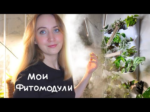 Видео: Мои ФИТОМОДУЛИ | Обзор растений | Март 2024