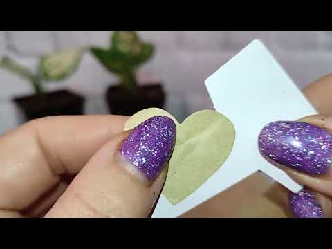 Видео: Супер распаковка с растениями!