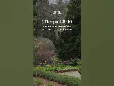 Видео: 1 Петра 4:8-10 современный перевод Библии #shorts